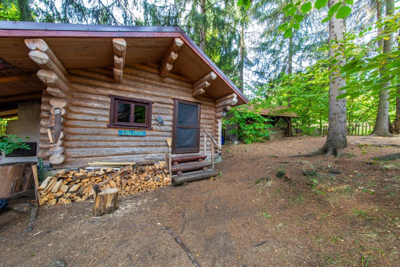 Forest Home Relax Borzont Luaran gambar
