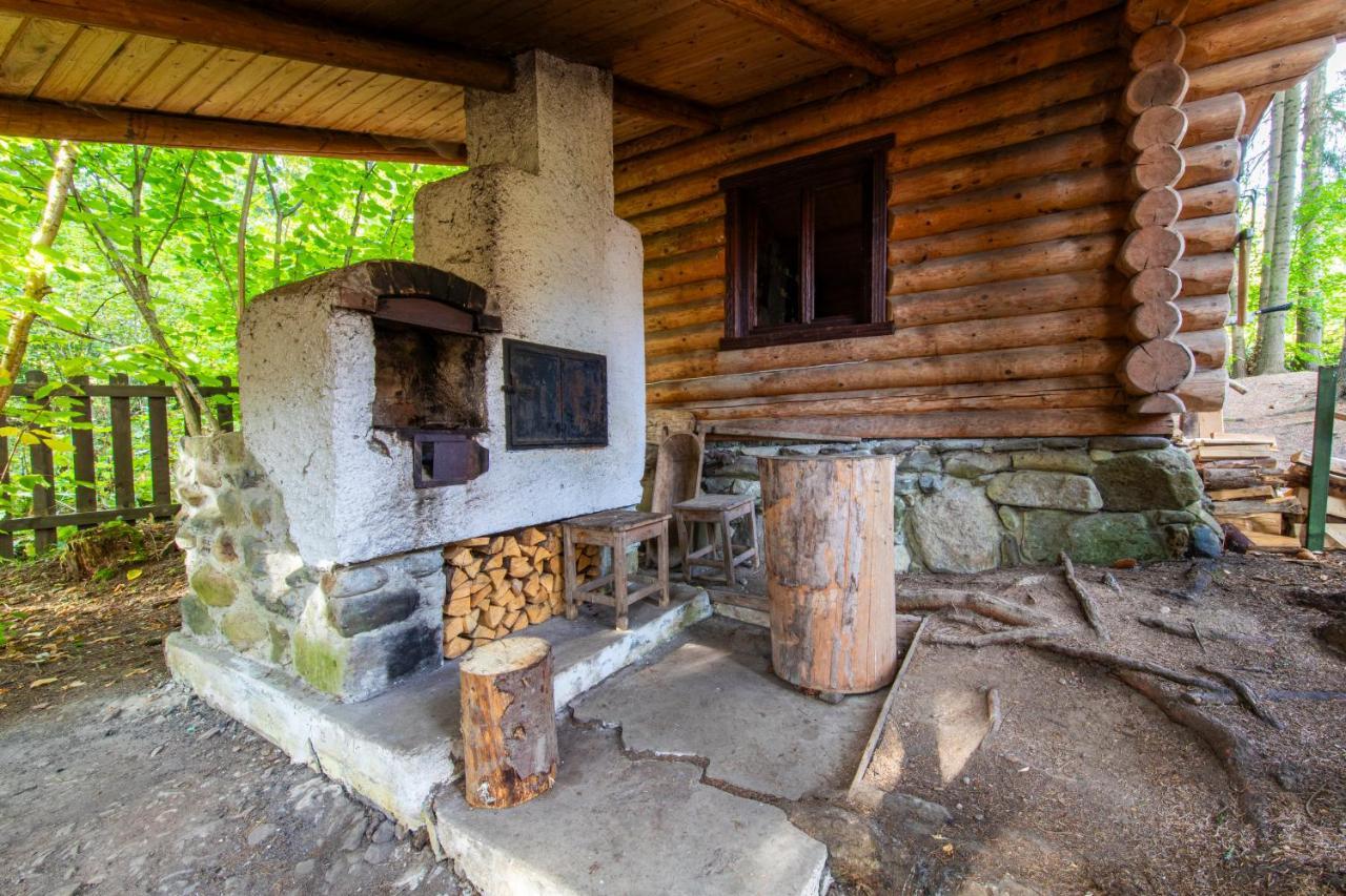Forest Home Relax Borzont Luaran gambar
